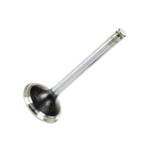 Intake Valve