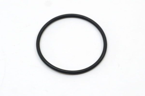 Crankcase O-Ring