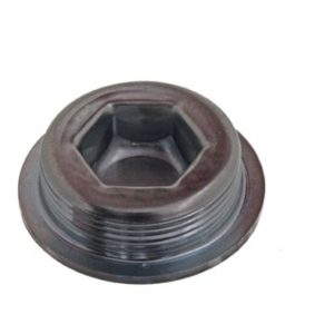 Crankcase Plug