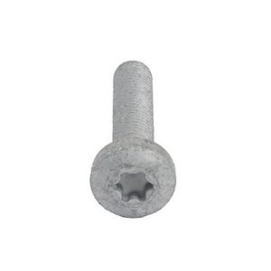 Timing Chain Idler Gear Bolt