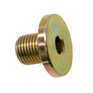 Auto Trans Drain Plug