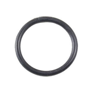 Auto Trans Modulator Valve Seal