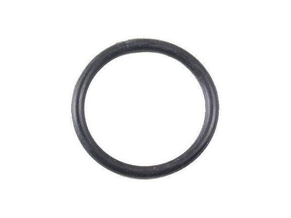 Auto Trans Modulator Valve Seal