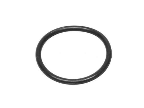 Auto Trans Reaction Valve Seal