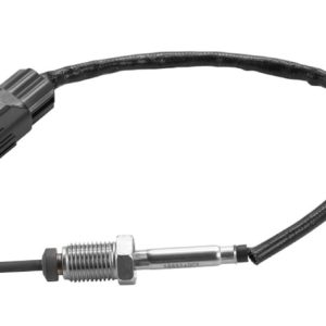 EGR Valve Temperature Sensor