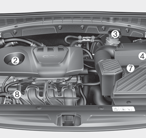 Engine Compartment