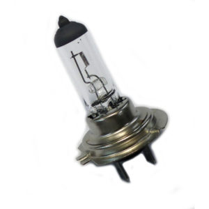 Headlight Bulb