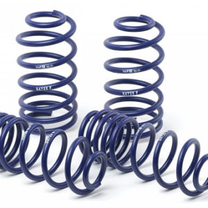 Lowering Spring Kit