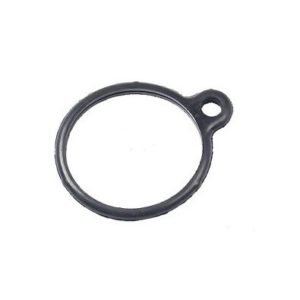 Thermostat Seal