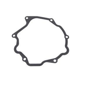 Vacuum Pump Gasket