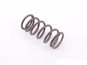 Valve Spring